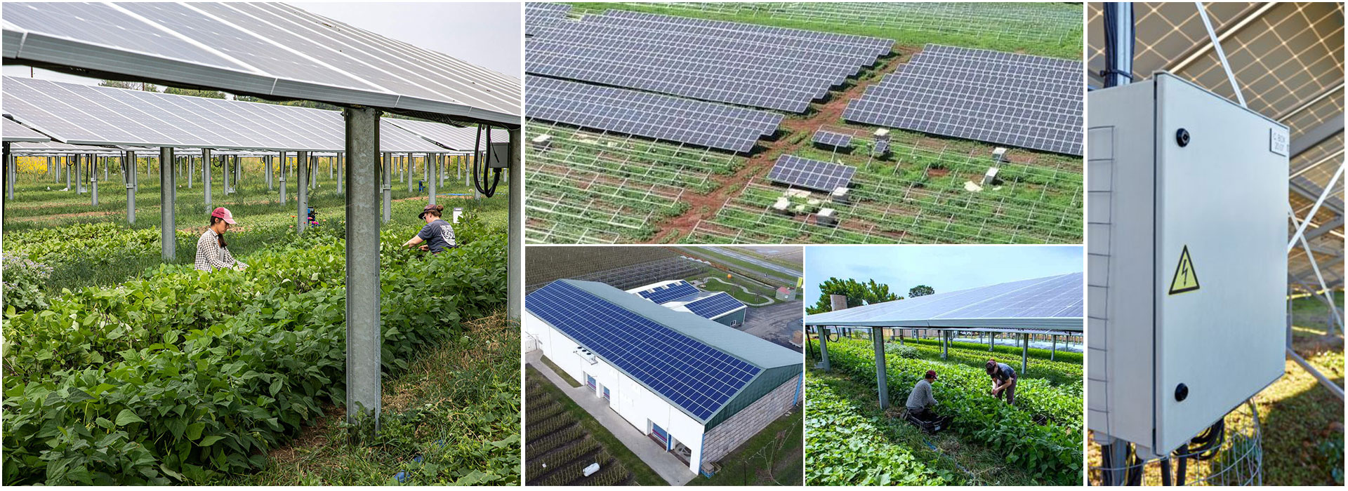 Agricultural Solar Case Study